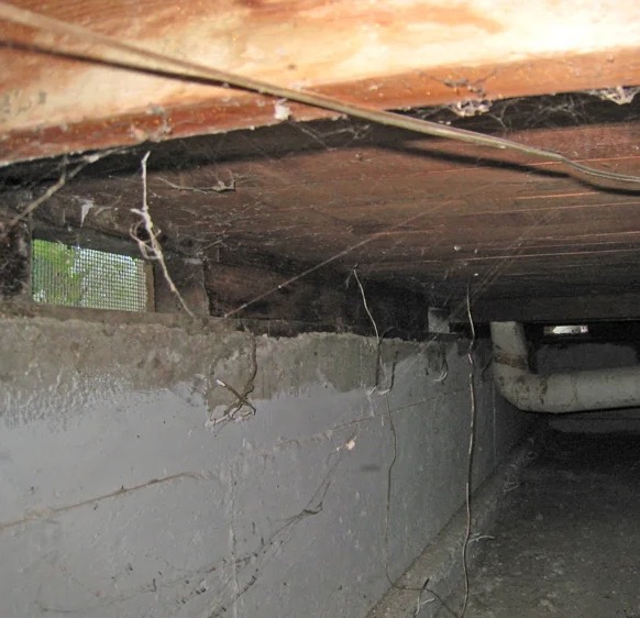 Crawl Space Water Extraction in Shepherdsville, KY