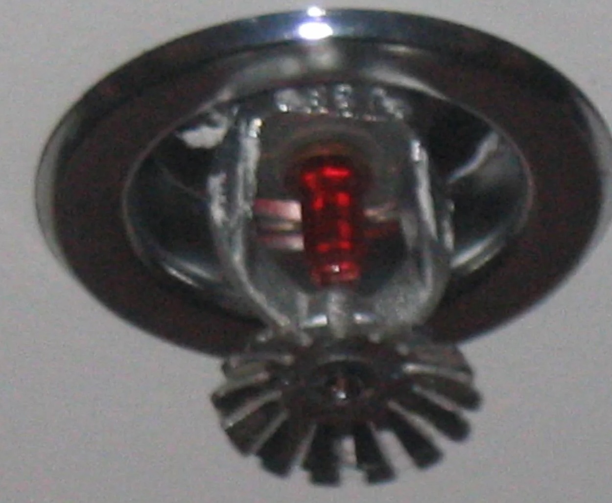 Sprinkler System Water Removal in Winchester, KY