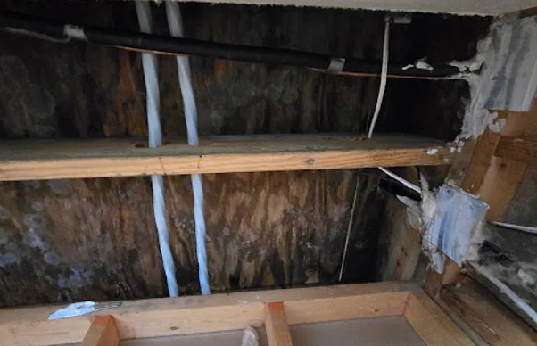 Attic Water Removal in Shepherdsville, KY