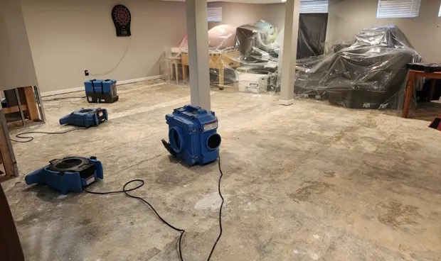 Black Mold Remediation & Removal in Louisville, KY
