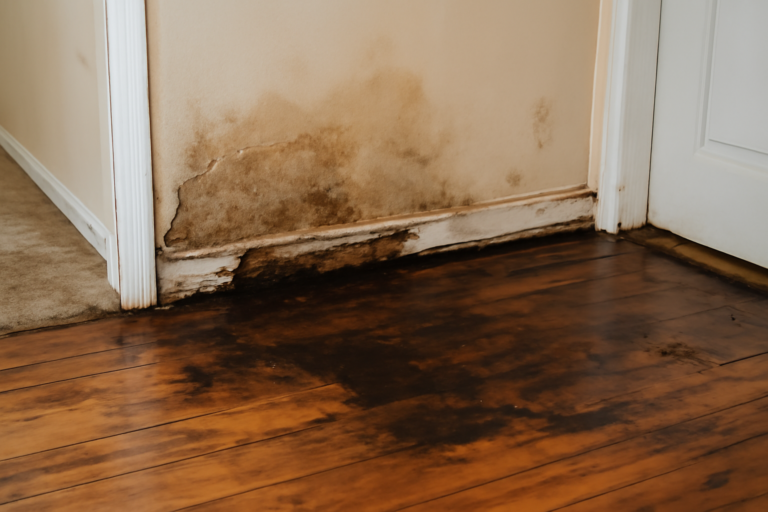 Water Removal Service